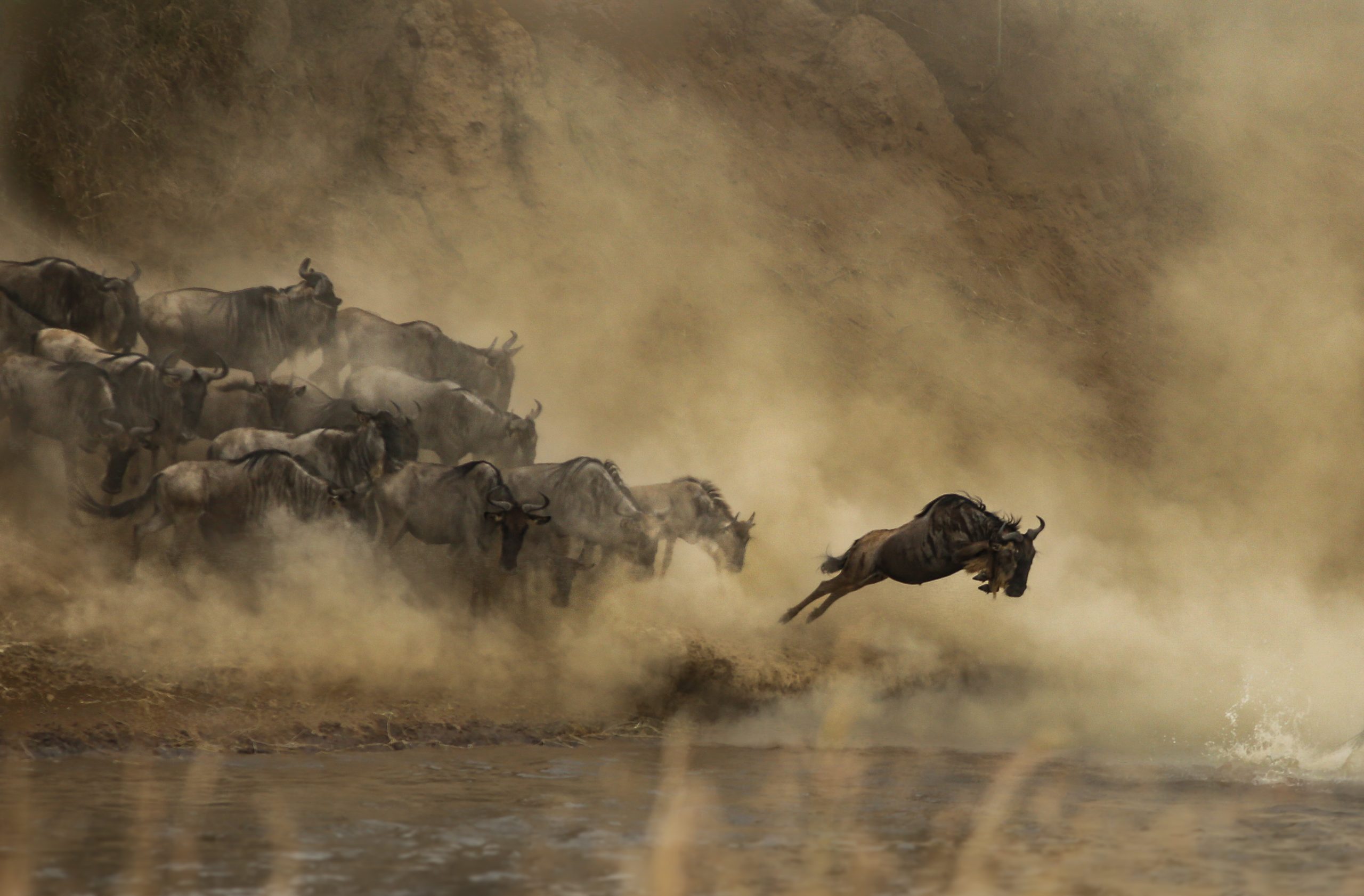 The Great Migration Encounter — 6-Day Serengeti Safari