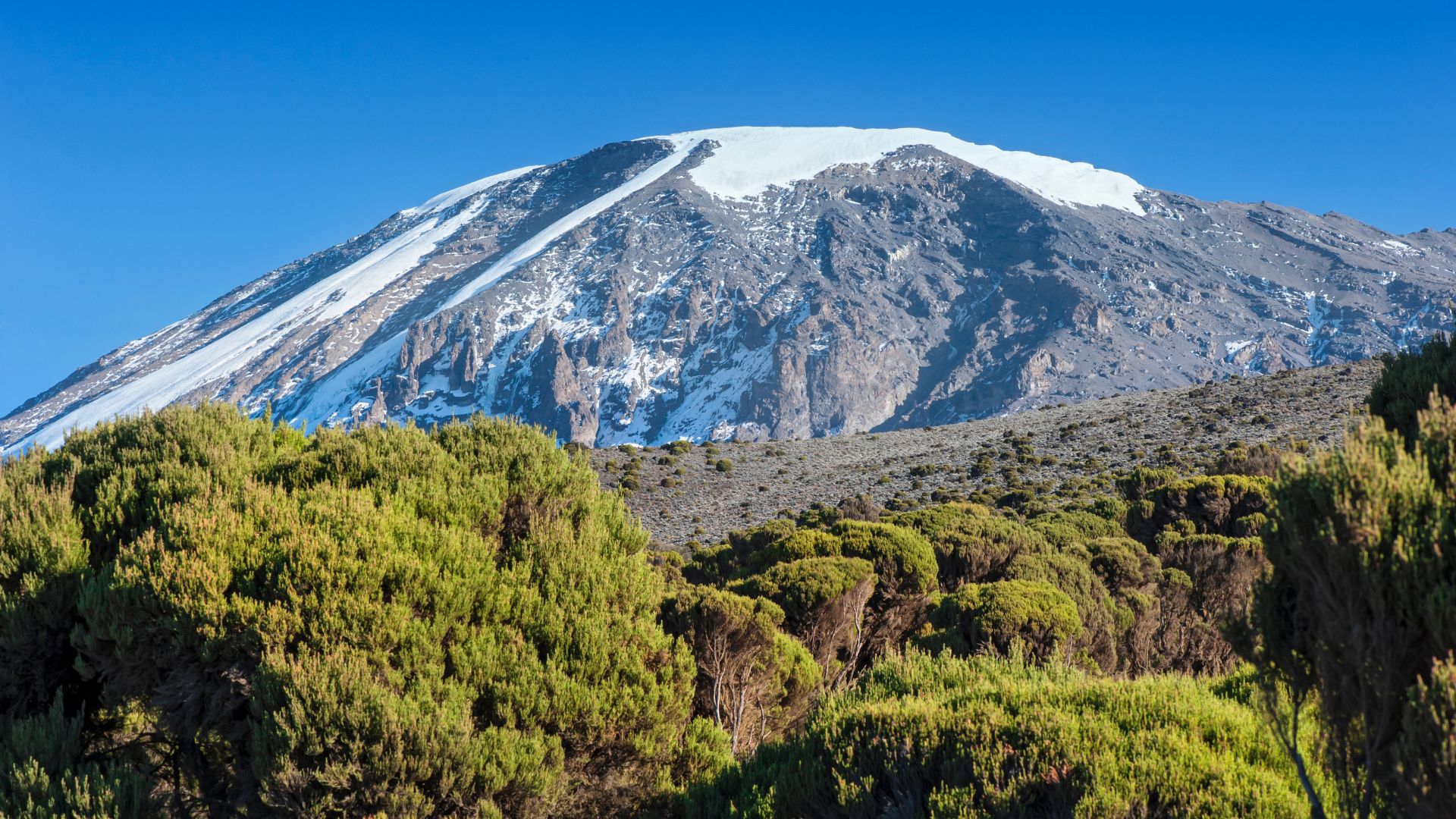 Kilimanjaro Umbwe Route — 6-Day Direct Ascent