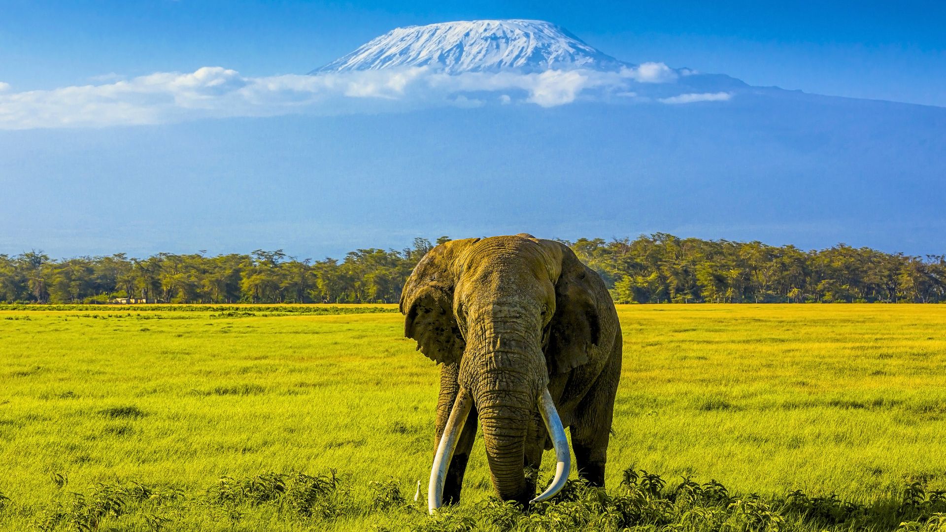 Kilimanjaro Machame Route — 7-Day Whiskey Trail