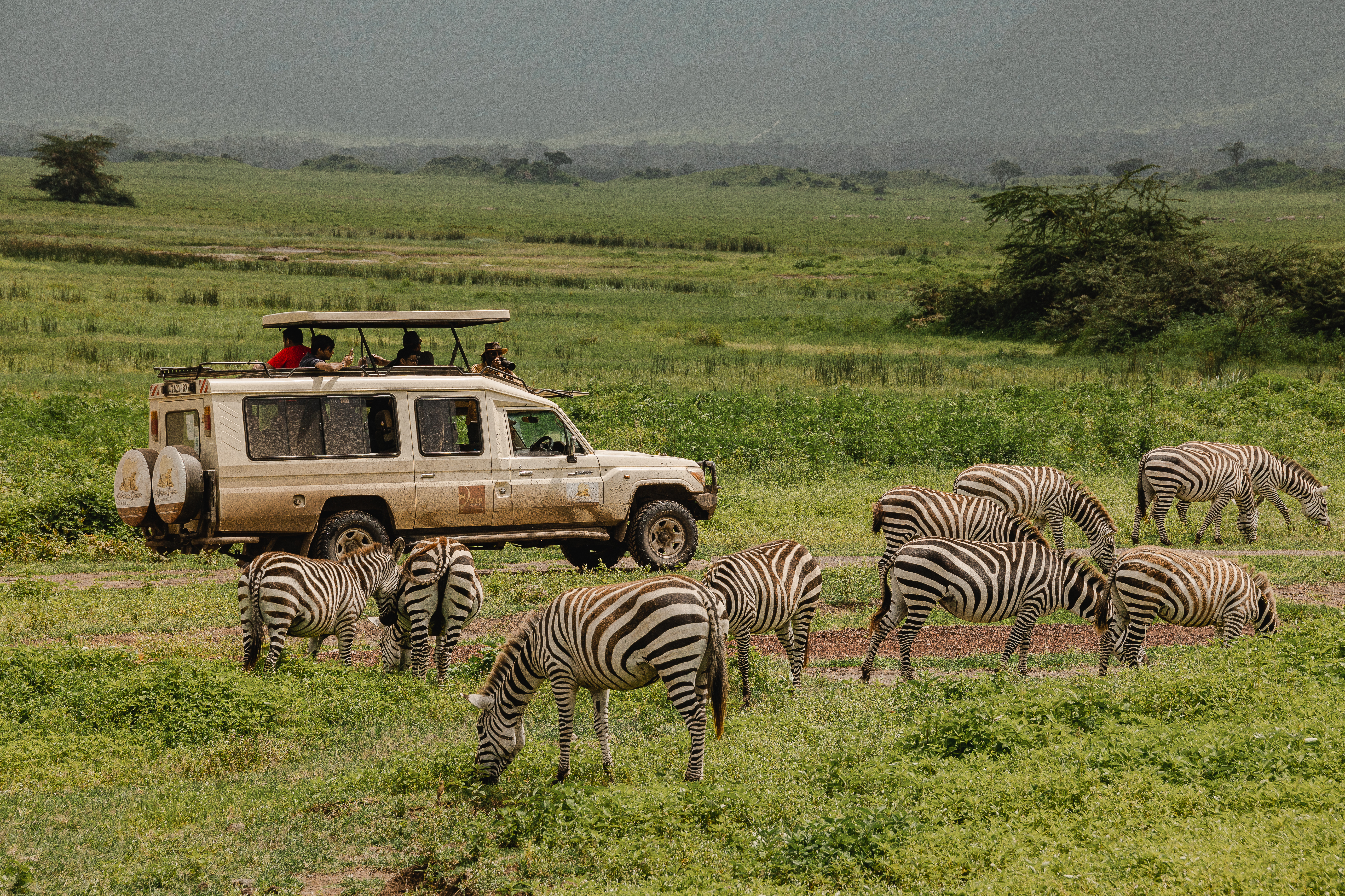 Founded on Passion, Built on Experience