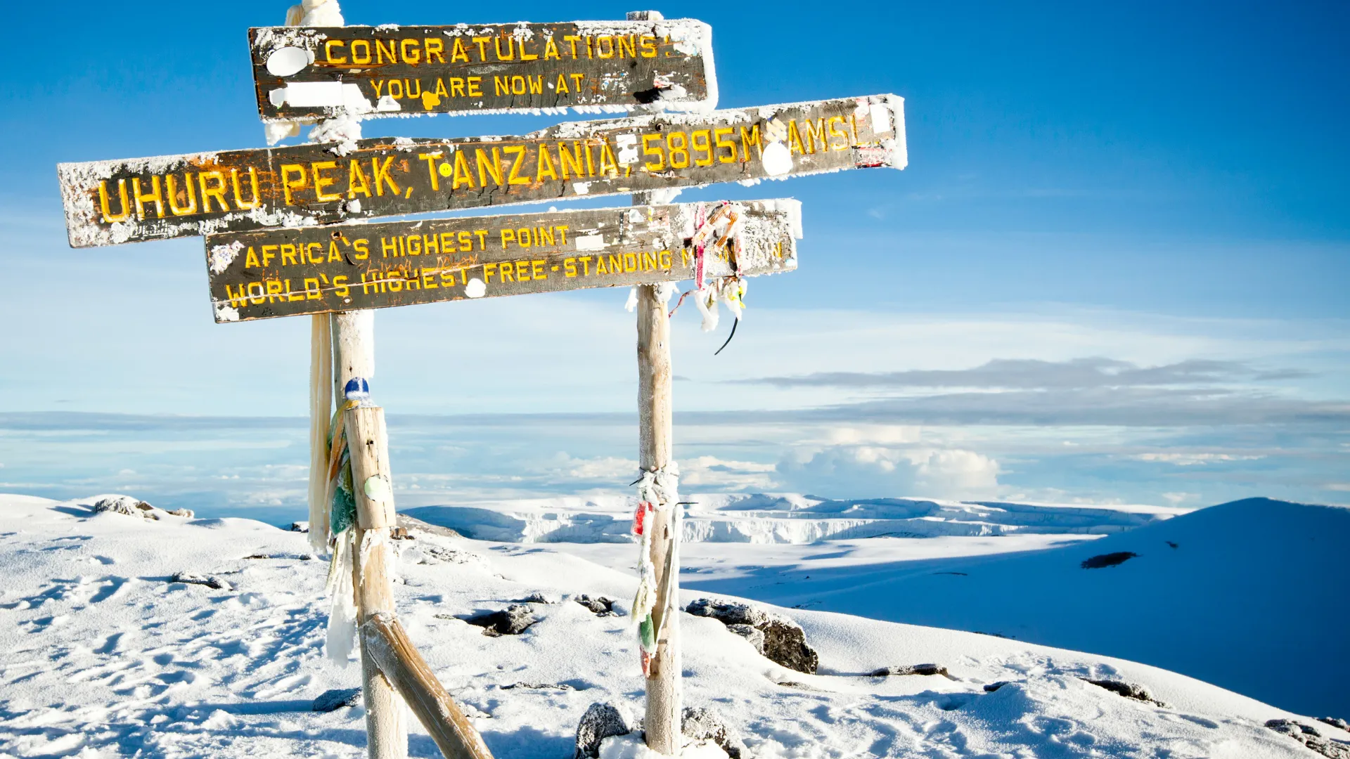 Kilimanjaro Northern Circuit — 9-Day Grand Traverse