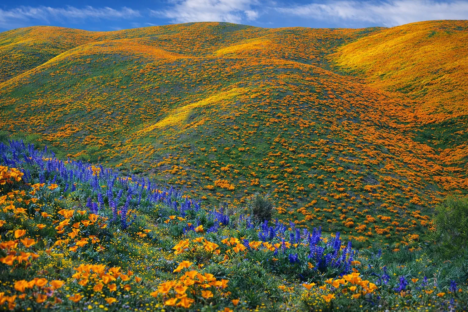 Kitulo National Park