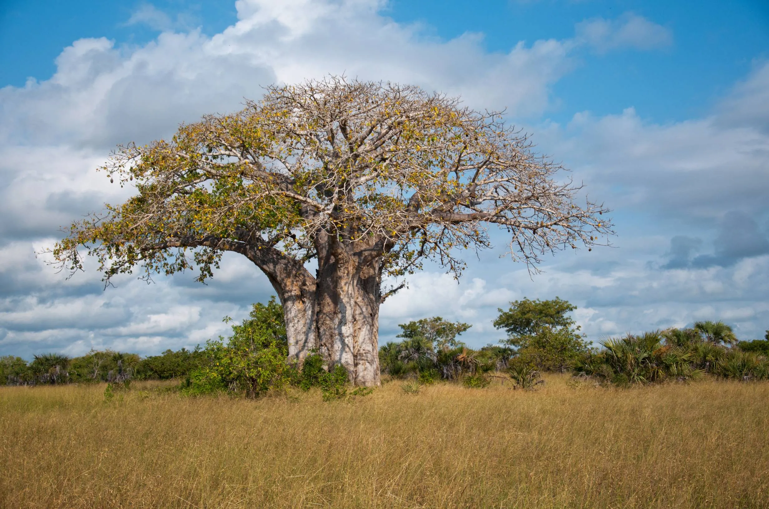 Featured Tanzania destination