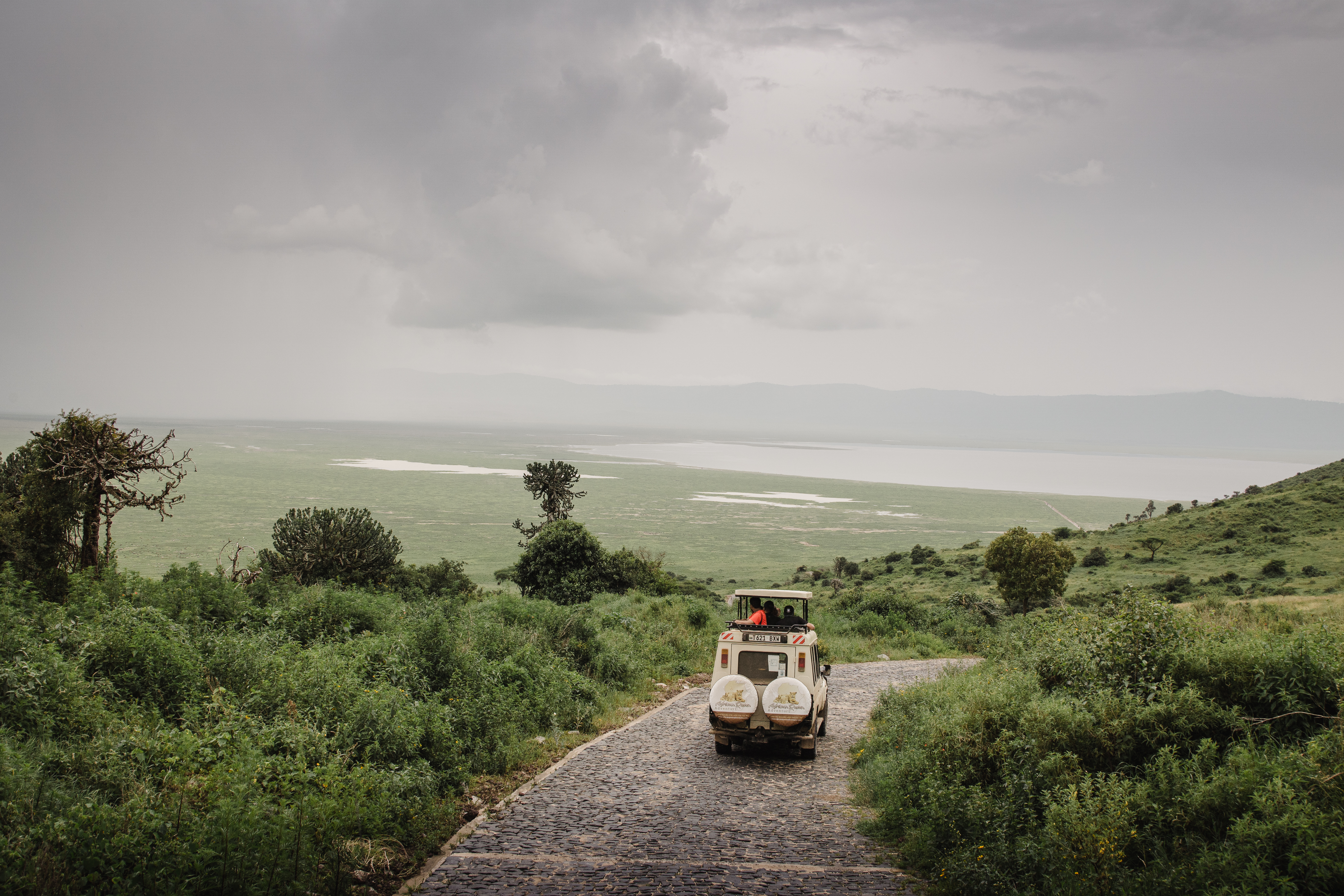 8-Day Tanzania Luxury Safari Experience