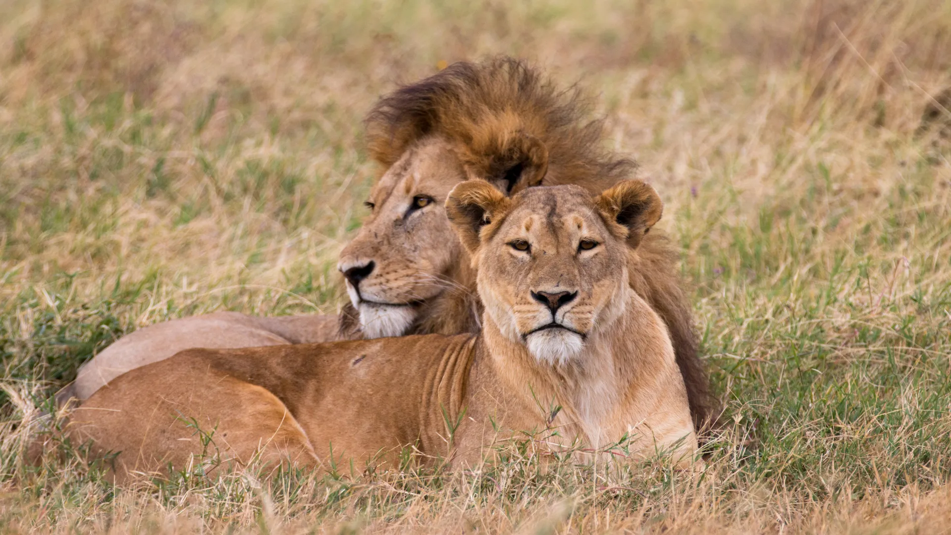 The Ultimate Northern Circuit — 8-Day Big Five Safari