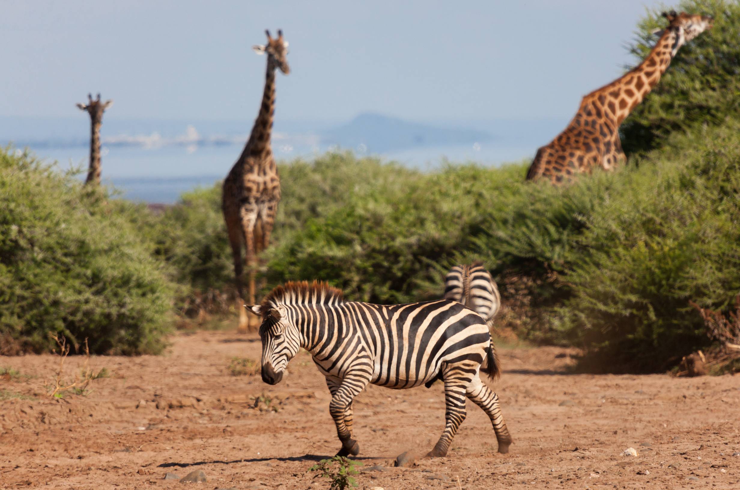 Featured Tanzania destination