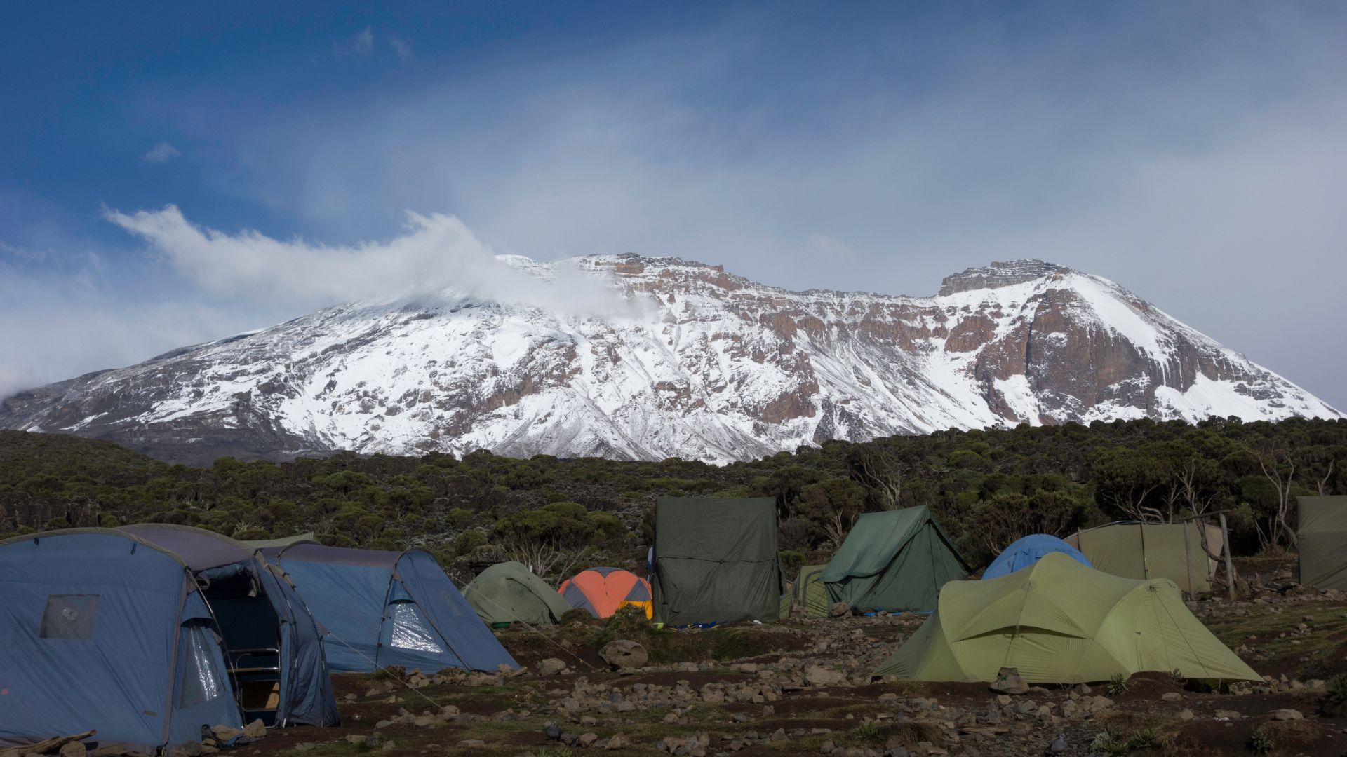 Kilimanjaro Lemosho Route — 8-Day Wilderness Expedition