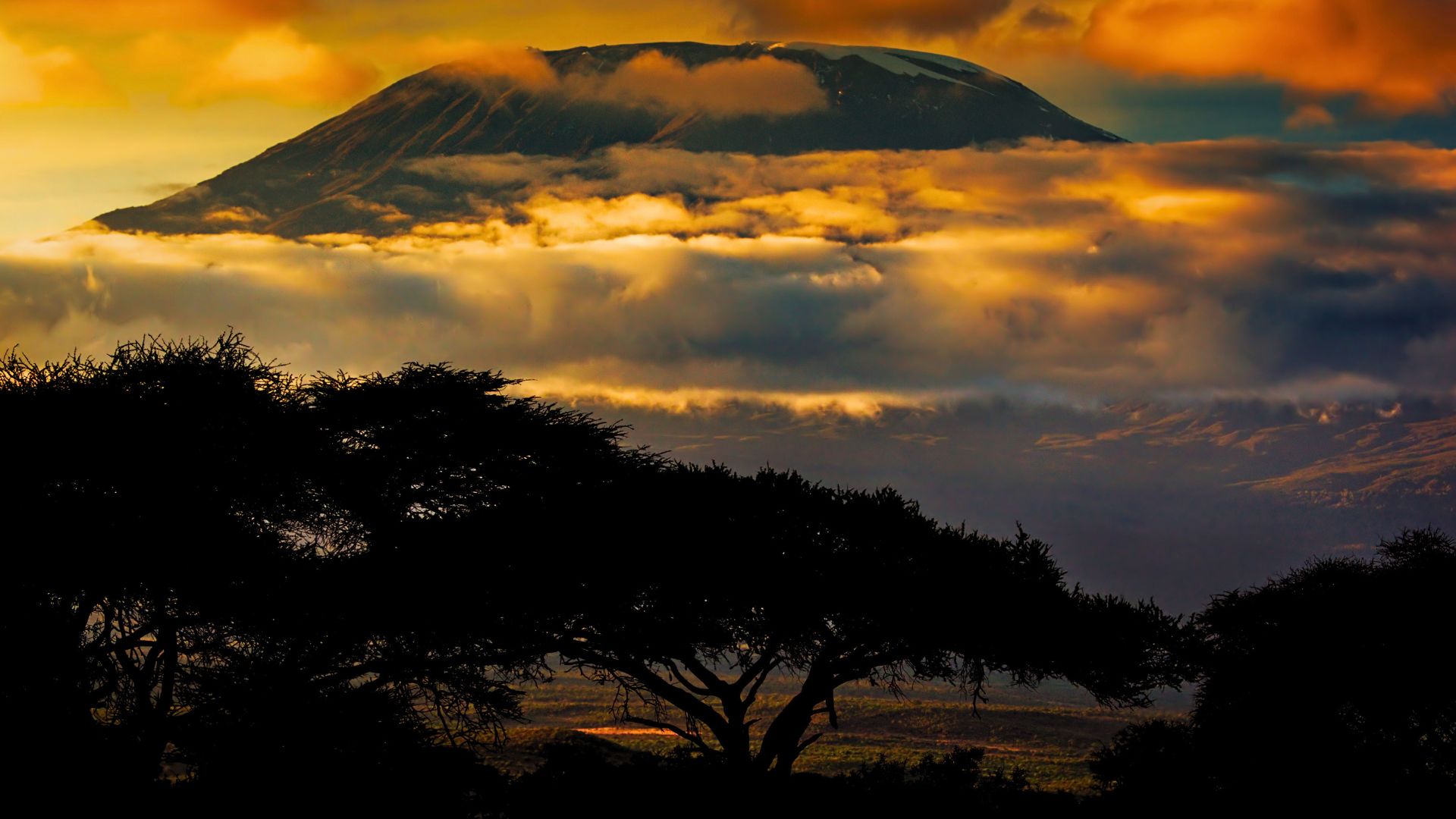 Kilimanjaro Marangu Route — 5-Day Classic Summit Trek