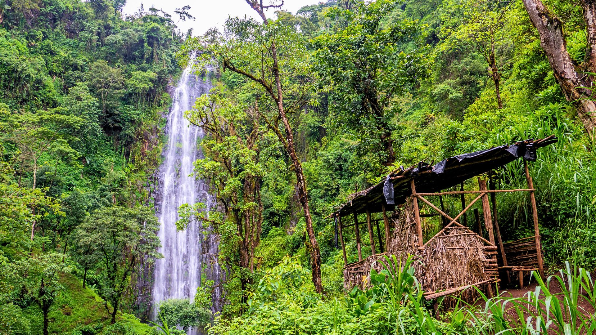 Materuni Waterfalls & Coffee Plantation Walk