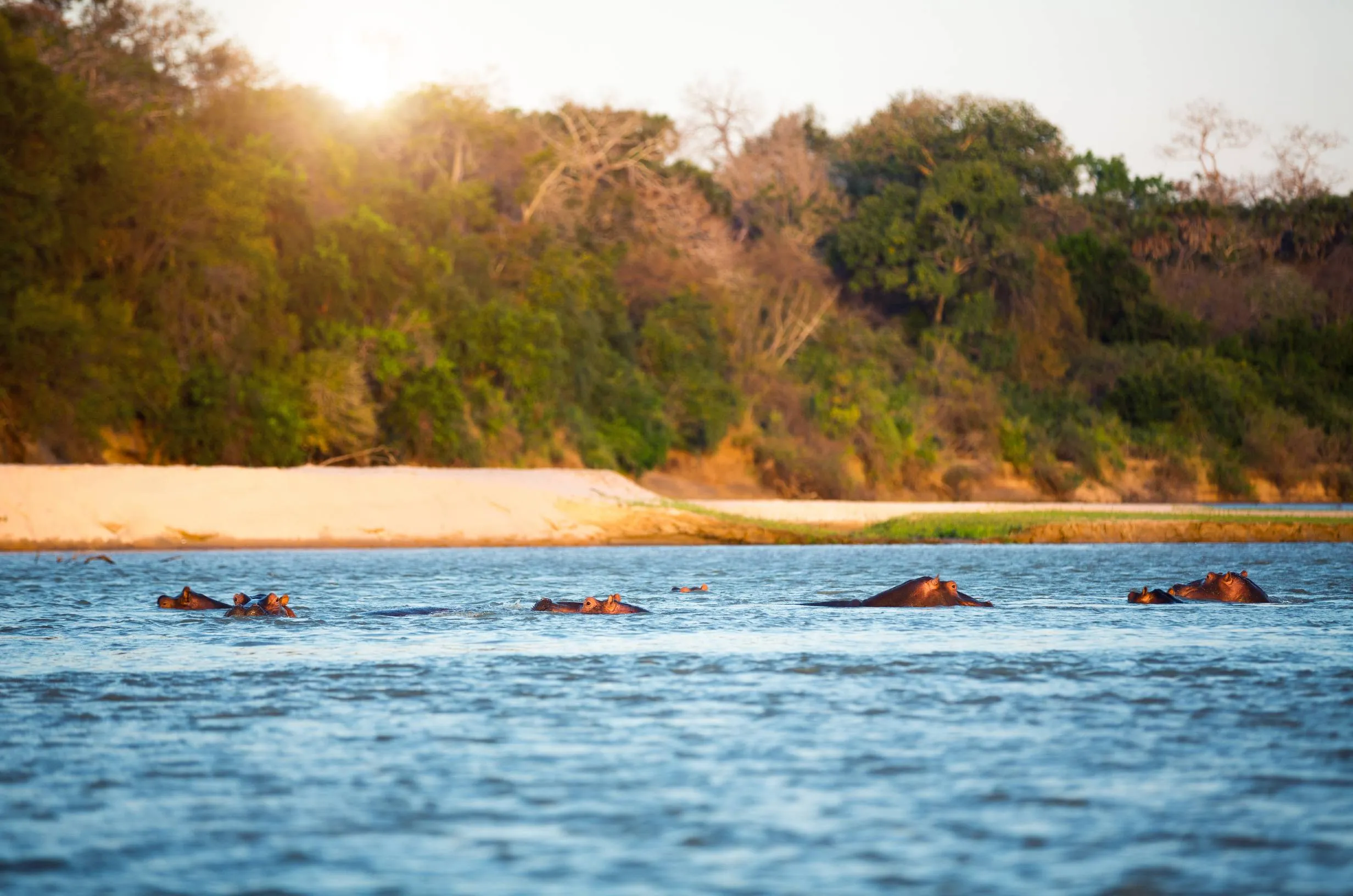 Featured Tanzania destination