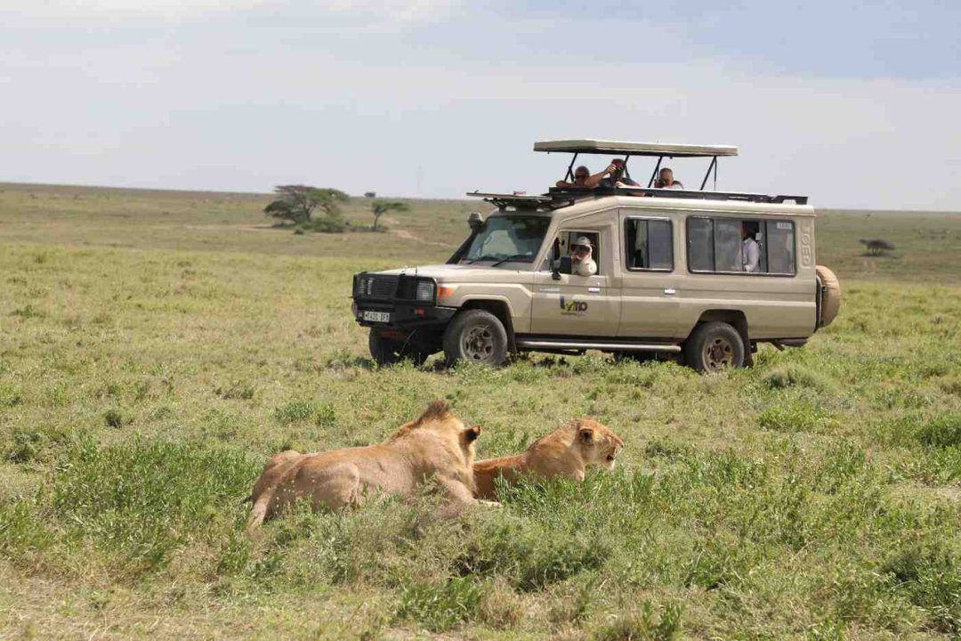 Ngorongoro to Arusha — Departure